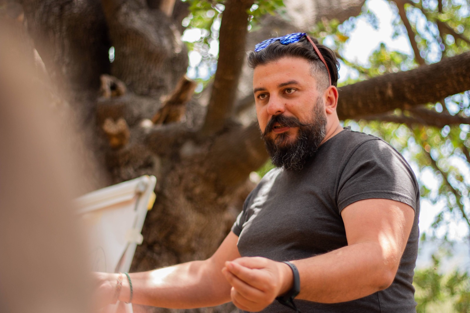 Panagiotis Mamouzakis